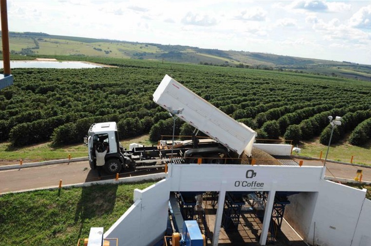 fazendas barista e farmer brazil